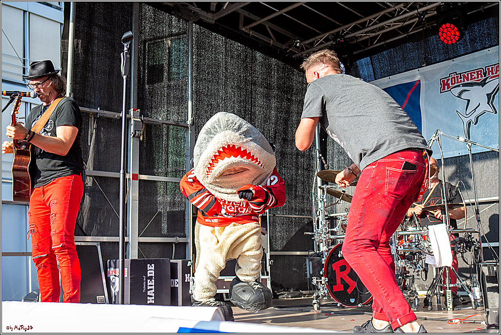 DEL; Koelner Haie Saisoneroeffnungsfeier, 31.08.2019